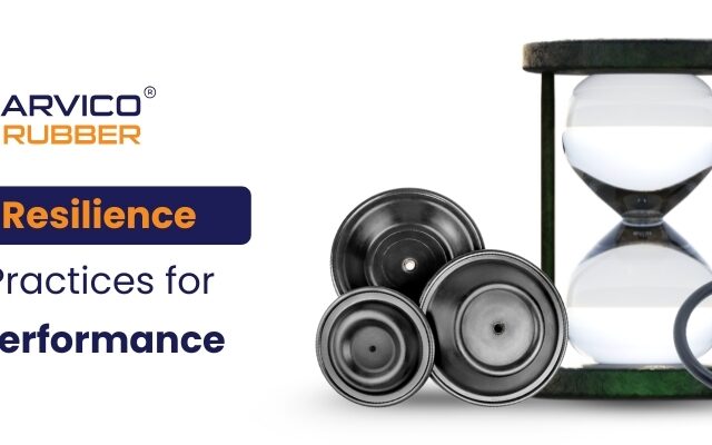 Rubber Resilience: Proven Practices for Lasting Performance